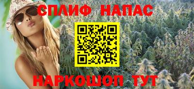 гидра Бузулук