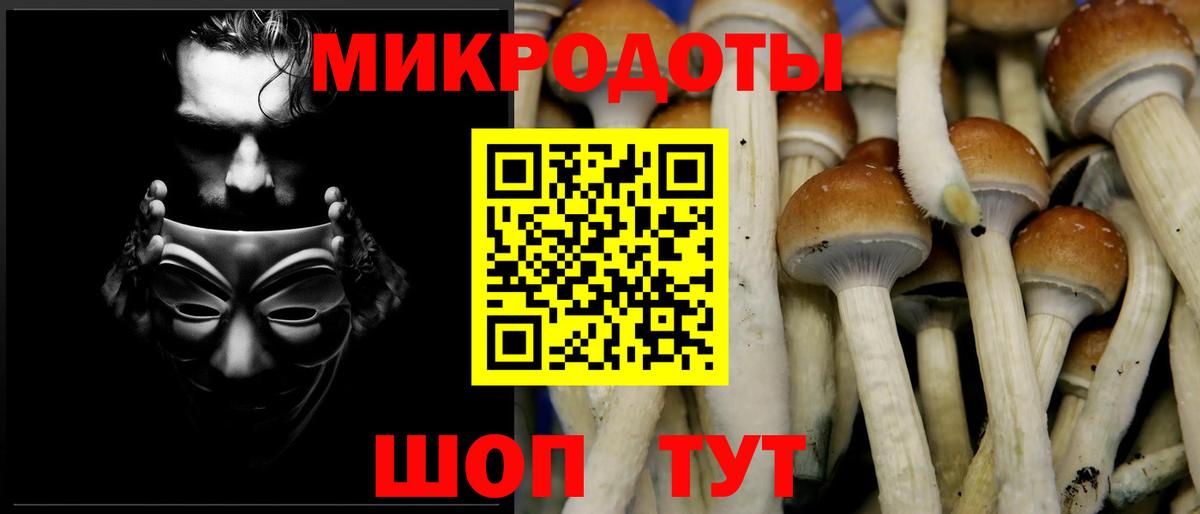 Псилоцибиновые грибы Cubensis  Вход с VPN  Тимашёвск 